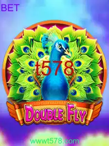 DoubleFly